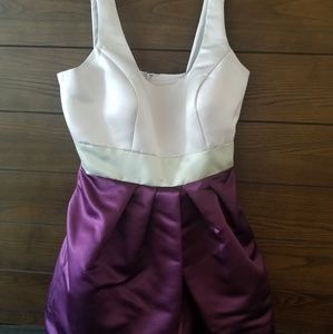 Bari Jay Dress SZ 14 Silver/Mist/Eggplant